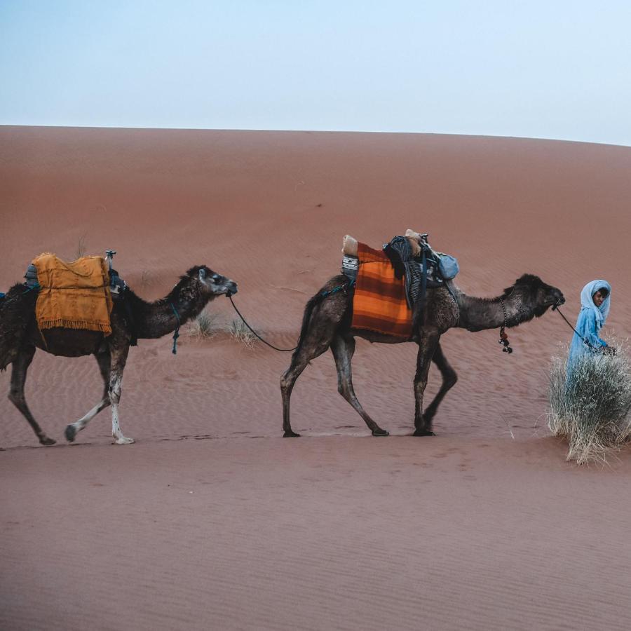 Camel Luxury Camp Bed and Breakfast Merzouga Exteriör bild